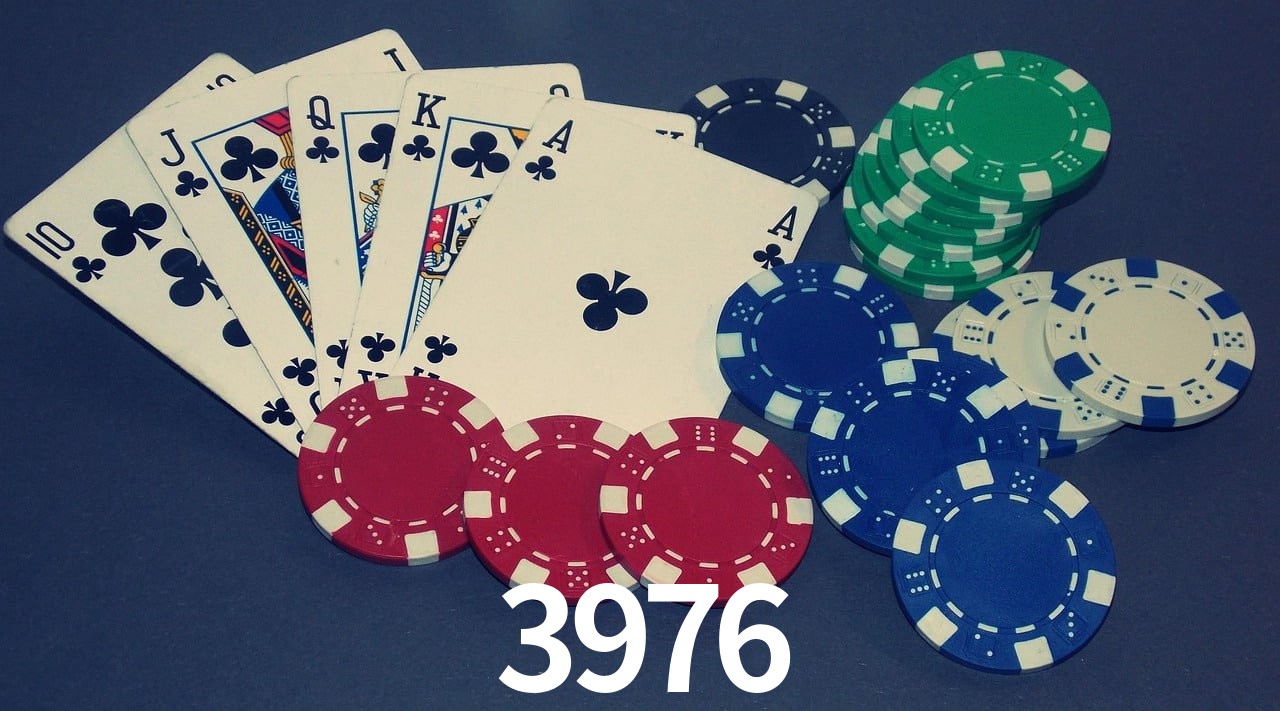 Live Casino 3976